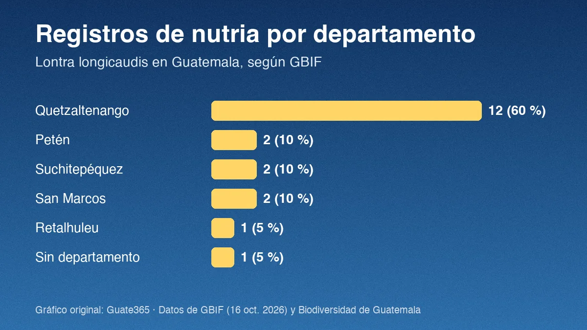 Barras con registros de nutria perro de agua por departamento en Guatemala: Quetzaltenango 12, Petén 2, Suchitepéquez 2, San Marcos 2, Retalhuleu 1