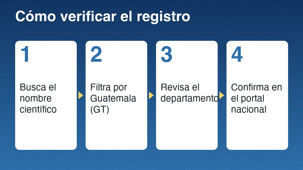 Cuatro pasos para verificar un registro de nutria: buscar el nombre científico, filtrar por Guatemala, revisar el departamento y confirmar en el portal nacional