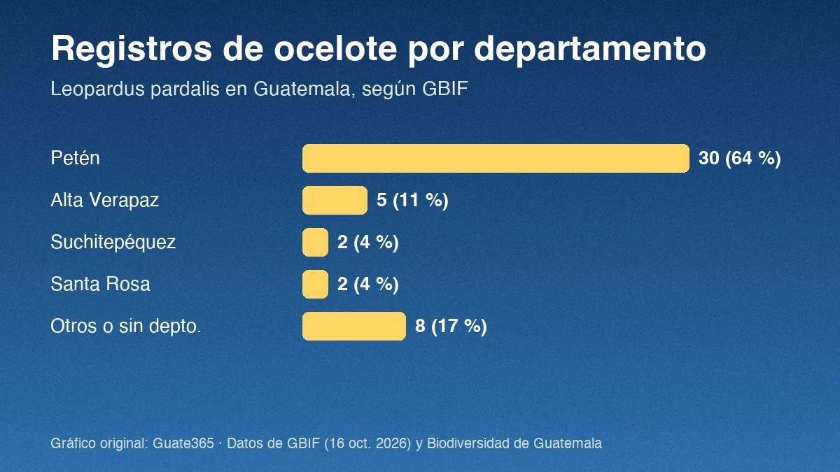 Barras con registros de ocelote por departamento en Guatemala: Petén 30, Alta Verapaz 5, Suchitepéquez 2, Santa Rosa 2 y otros 8