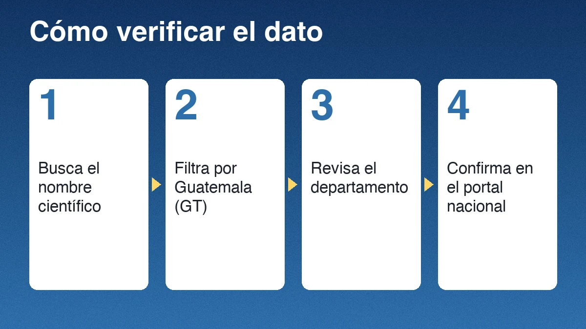 Cuatro pasos para verificar un registro de ocelote: buscar el nombre científico, filtrar por Guatemala, revisar el departamento y confirmar en el portal nacional