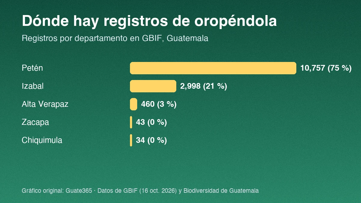Gráfico de barras con registros de oropéndola de Montezuma por departamento: Petén 10,757 e Izabal 2,998