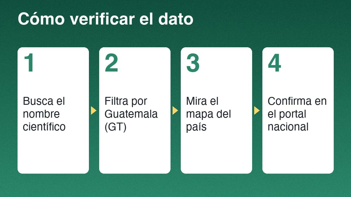 Cuatro pasos para verificar el dato de una especie: busca el nombre científico, filtra por Guatemala, mira el mapa y confirma en el portal nacional