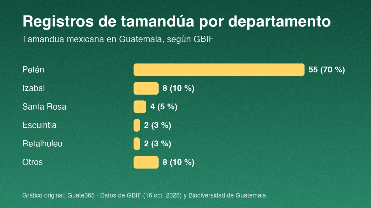 Gráfico de barras con registros de tamandúa por departamento: Petén 55, Izabal 8, Santa Rosa 4