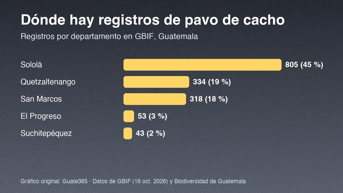 Gráfico de barras con registros de pavo de cacho por departamento: Sololá 805, Quetzaltenango 334, San Marcos 318