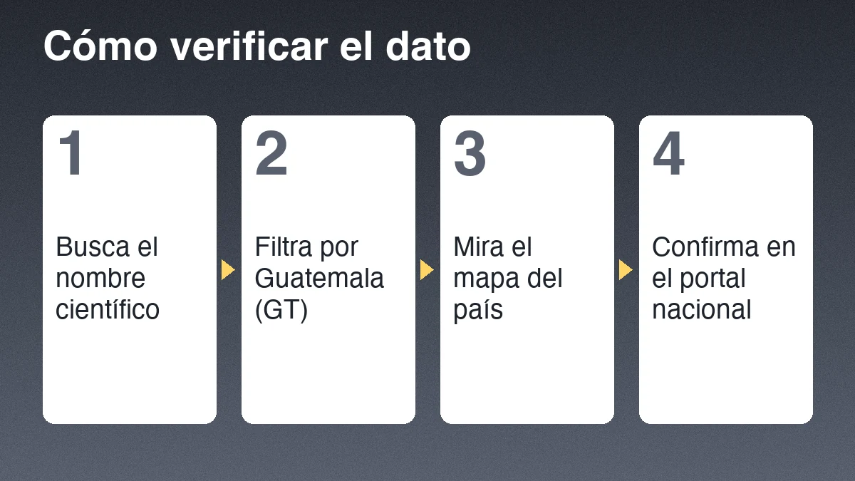 Cuatro pasos para verificar el dato de una especie: busca el nombre científico, filtra por Guatemala, mira el mapa y confirma en el portal nacional