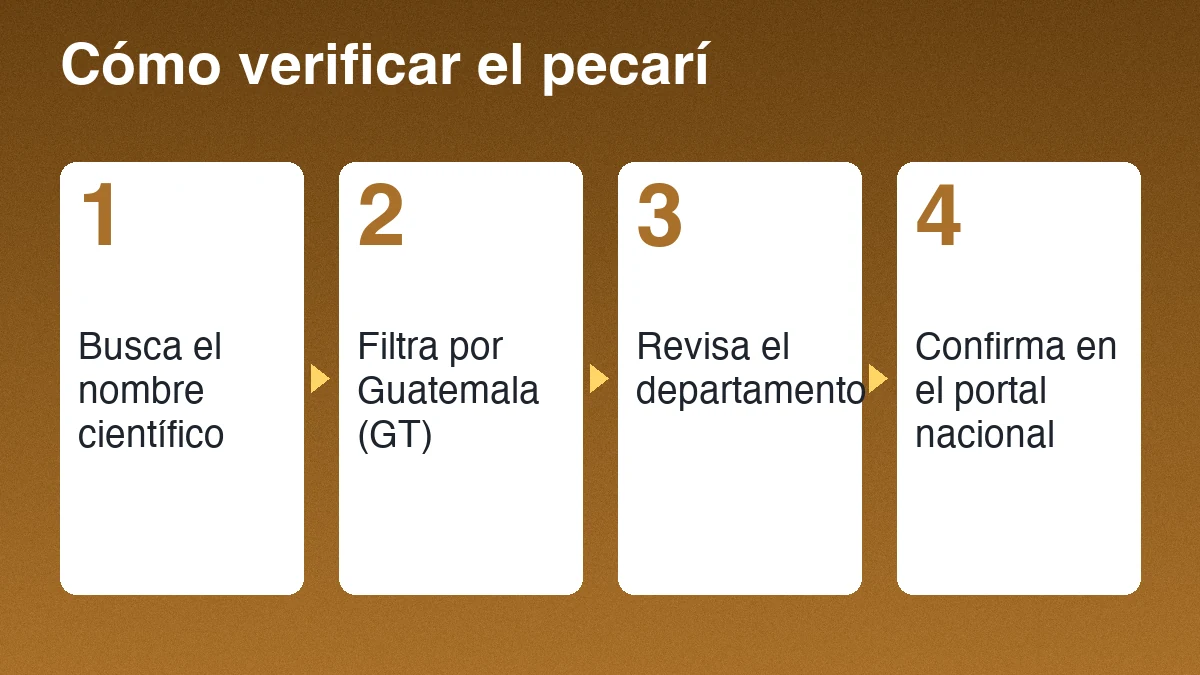 Cuatro pasos para verificar un registro de pecarí: buscar el nombre científico, filtrar por Guatemala, revisar el departamento y confirmar en el portal nacional