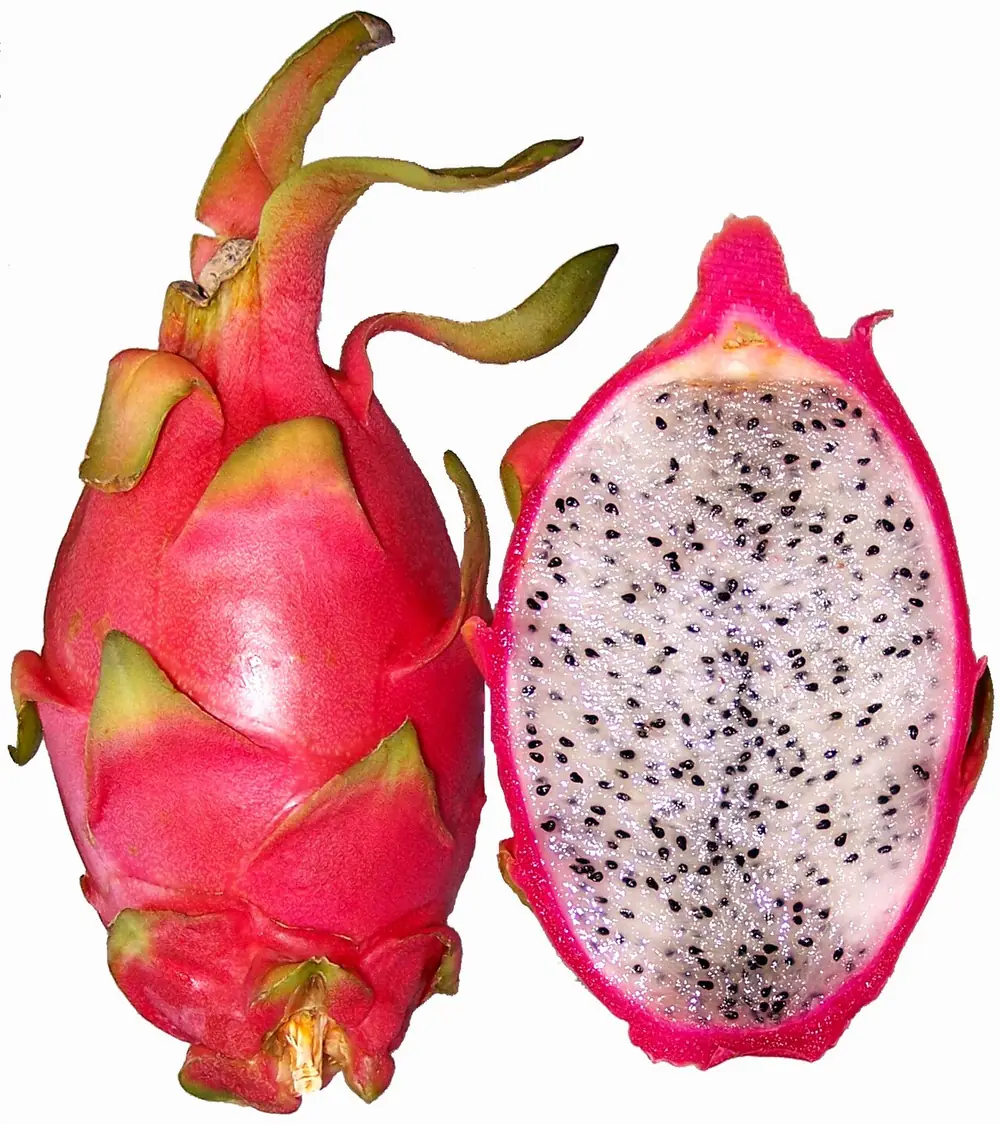 Pitaya de piel roja, entera y cortada, con pulpa blanca y semillas negras