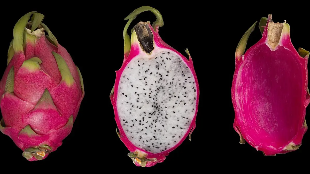 Pitaya en Guatemala: fruto, especies y cómo elegirlo