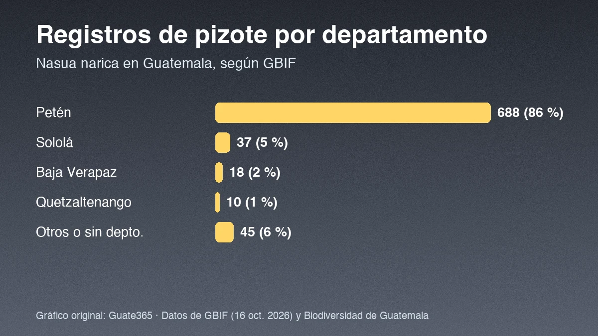 Barras con registros de pizote por departamento en Guatemala: Petén 688, Sololá 37, Baja Verapaz 18, Quetzaltenango 10 y otros 45