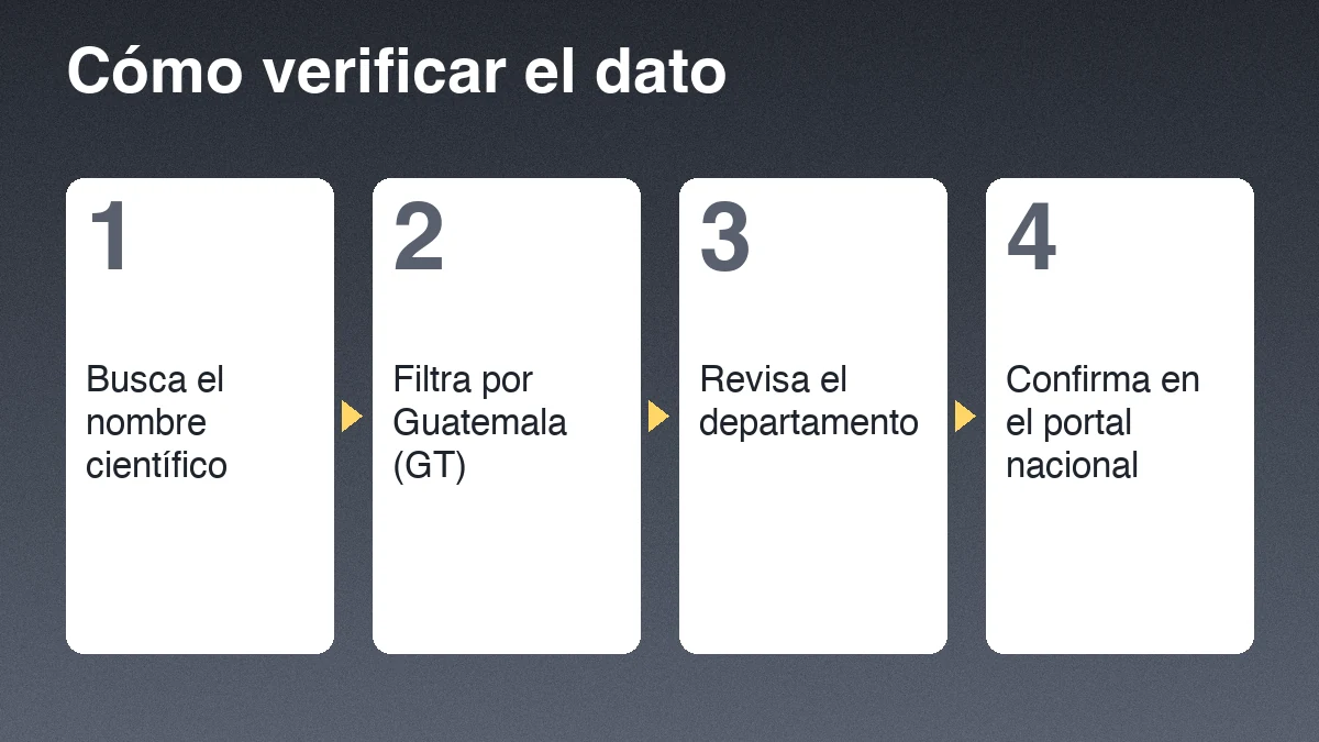Cuatro pasos para verificar un registro de pizote: buscar el nombre científico, filtrar por Guatemala, revisar el departamento y confirmar en el portal nacional