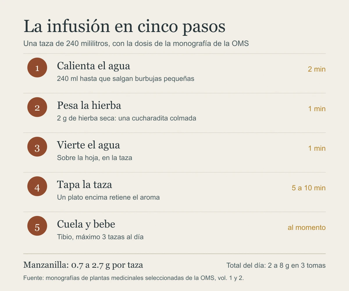 Infografía de cinco pasos para preparar una infusión: 240 mililitros de agua a 90 o 95 grados, 2 gramos de hierba seca, tapar de 5 a 10 minutos, colar y tomar hasta 3 tazas al día