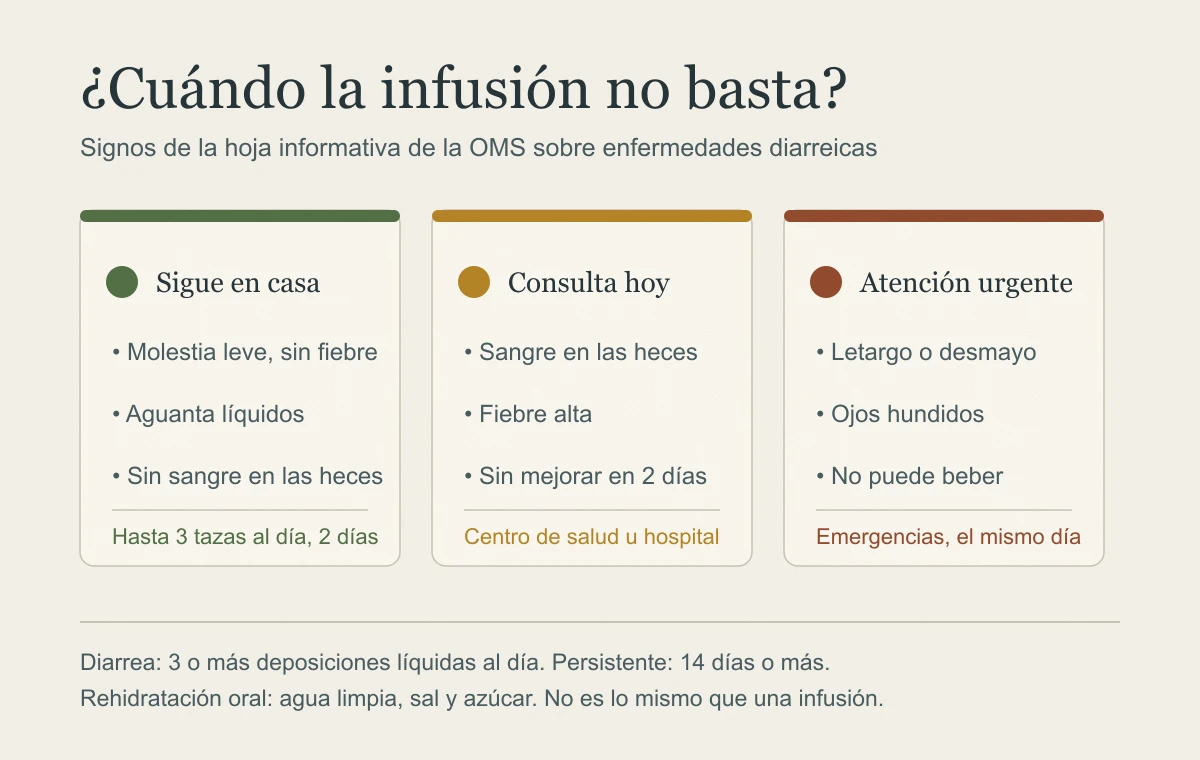 Tres niveles de decisión: seguir en casa con molestia leve, consultar hoy si hay sangre en las heces o fiebre, y buscar atención urgente si hay letargo, ojos hundidos o no puede beber