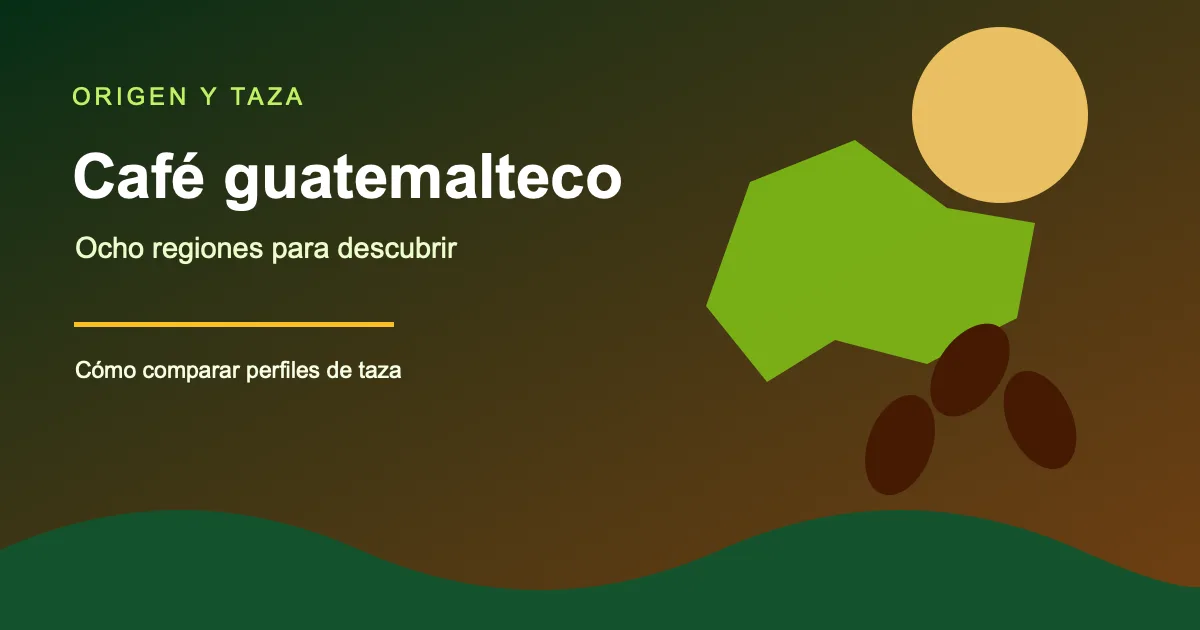 Café guatemalteco: regiones, origen y perfiles de taza