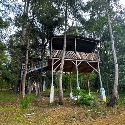 Cabaña de madera entre los árboles de la Casa del Árbol