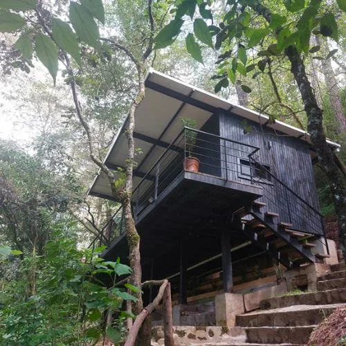 Cabaña elevada entre árboles en Casa Xara y Molino