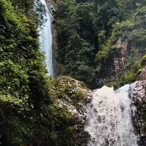 Cascada Patrubalá vista entre la vegetación del bosque