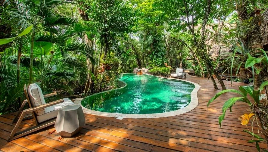 Piscina y áreas de descanso rodeadas de vegetación en Cassa Zenda