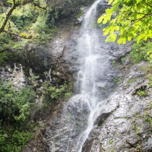 Caída de agua de las Cataratas del Paraíso entre vegetación