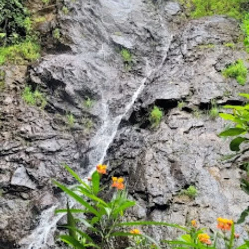 Cascada delgada y flores anaranjadas en el entorno de Palencia
