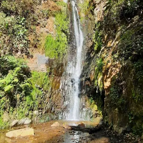 Cascada rodeada de vegetación en Cataratas La Rinconada