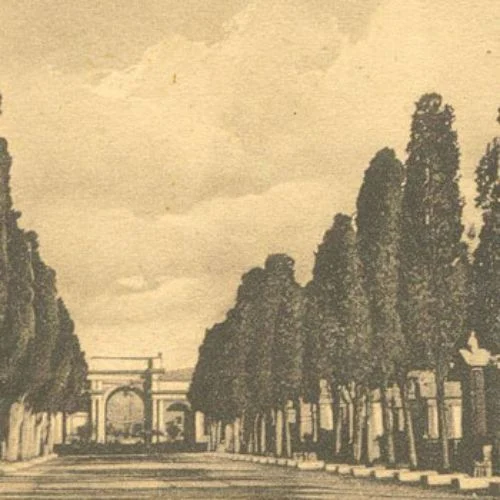 Avenida arbolada del Cementerio General de Guatemala en una fotografía histórica