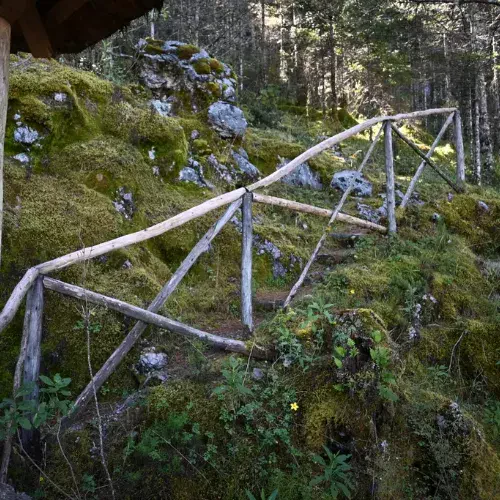 Sendero con baranda de madera en el Centro Ecoturístico Puerta del Cielo