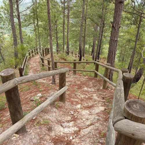Sendero del Cerro Huexqué con una cerca de madera entre árboles