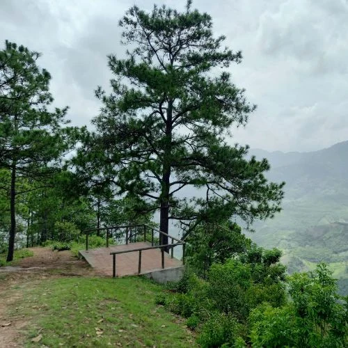 Plataforma de mirador rodeada de árboles en el Cerro Huexqué