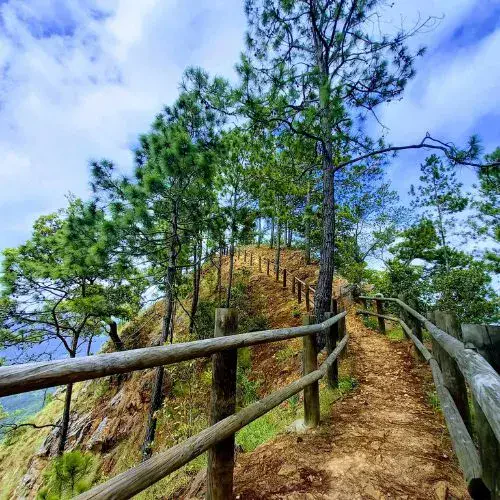 Sendero natural del Cerro Huexqué en una montaña cubierta de bosque