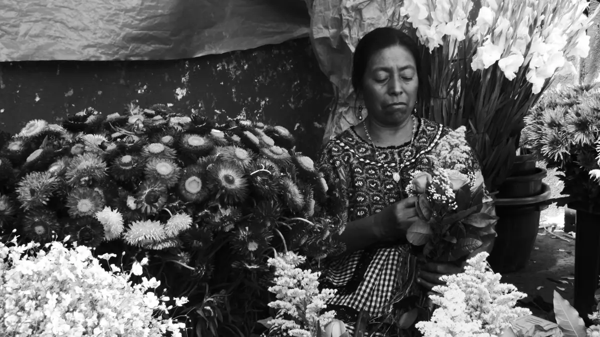 Cementerio General: cierres y ruta alterna el 1 de noviembre