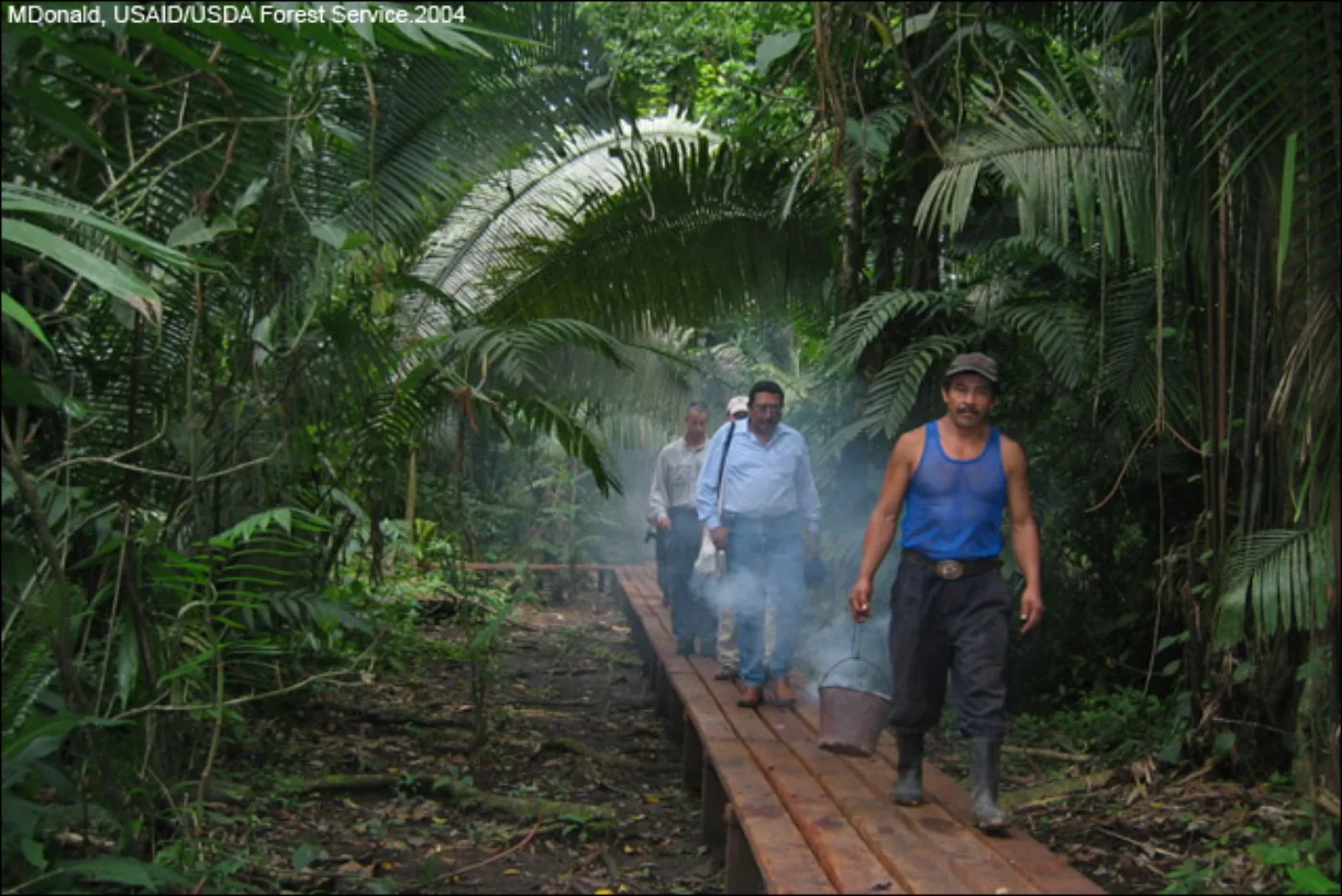 Sendero de bajo impacto en un bosque de Guatemala