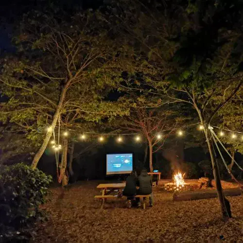 Cine al aire libre entre árboles en De Lo Alto Farms