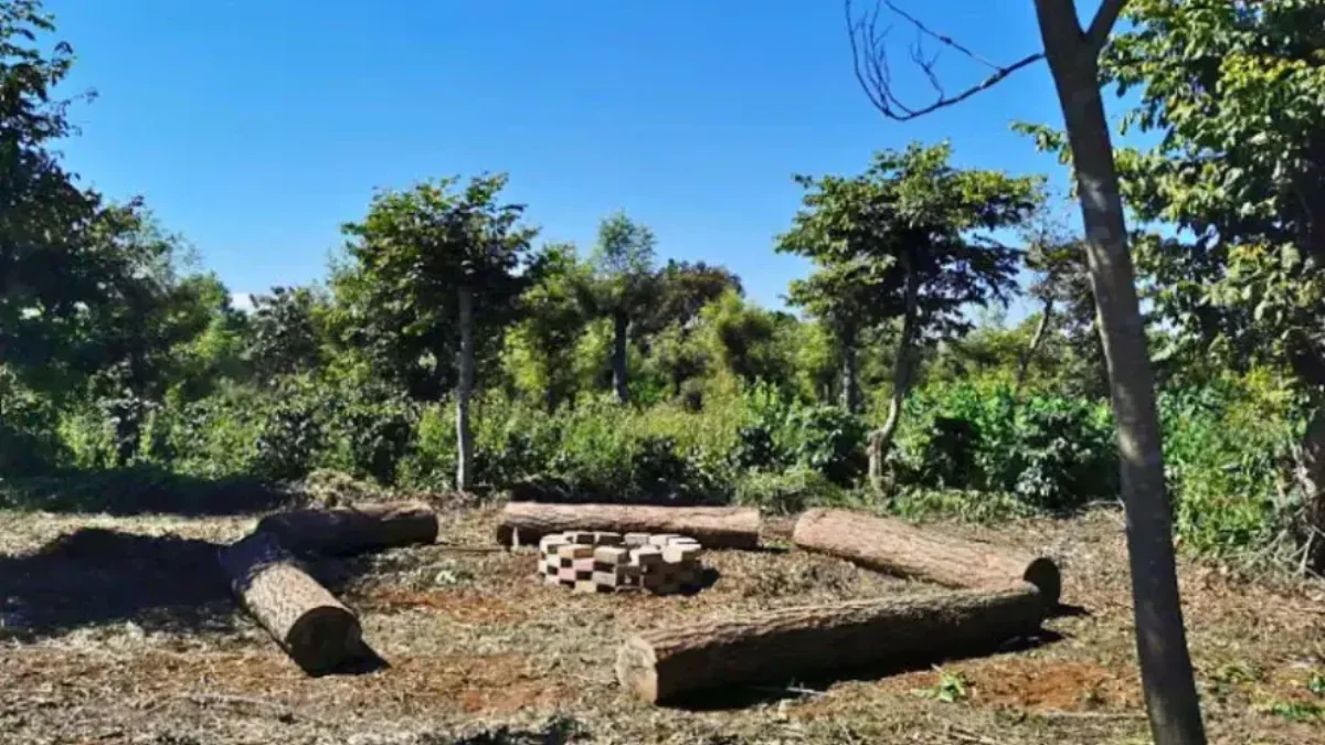 De Lo Alto Farms en San Juan Sacatepéquez: guía de visita, café y camping