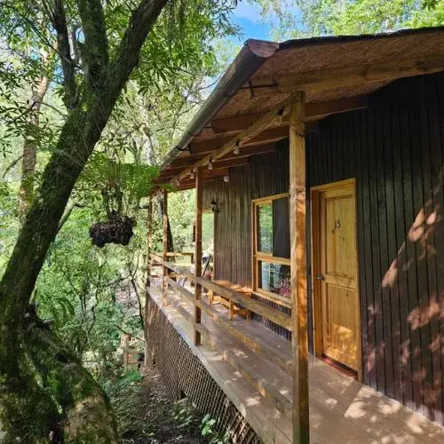 Entrada de una cabaña de madera entre el bosque de Cobán