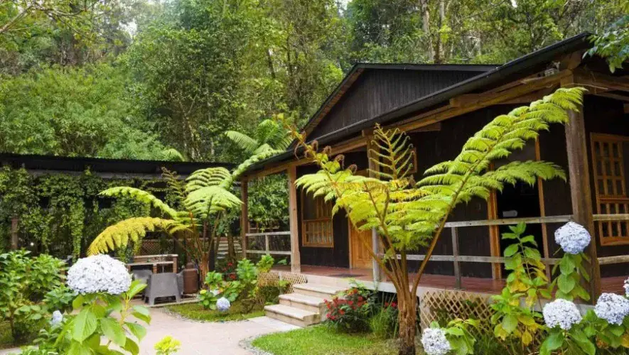 Estancia del Monje en Cobán: guía para hospedarse en el bosque nuboso