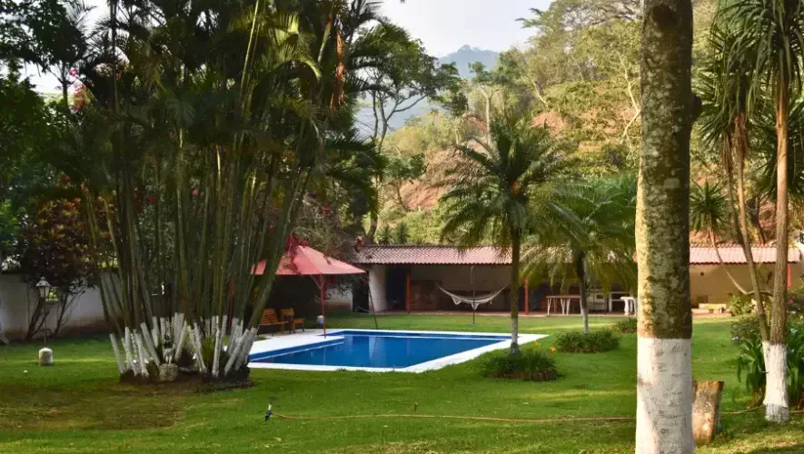 Piscina rodeada de jardines y palmeras en Finca El Barretal