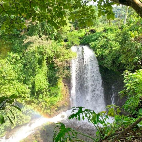 Catarata rodeada de vegetación en Finca El Manantial