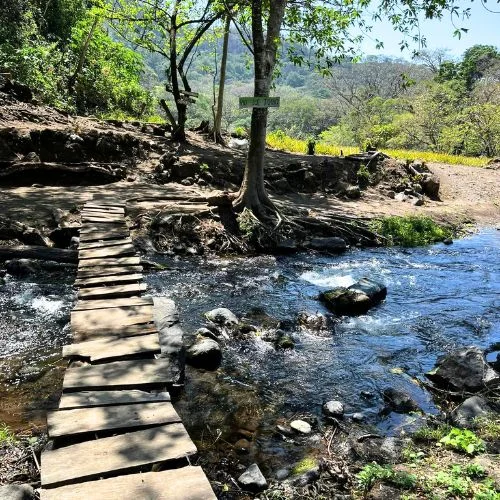 Puente de madera sobre una corriente de agua en Finca El Manantial