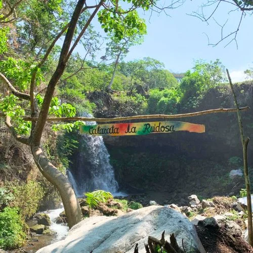 Catarata rodeada de árboles en Finca El Manantial