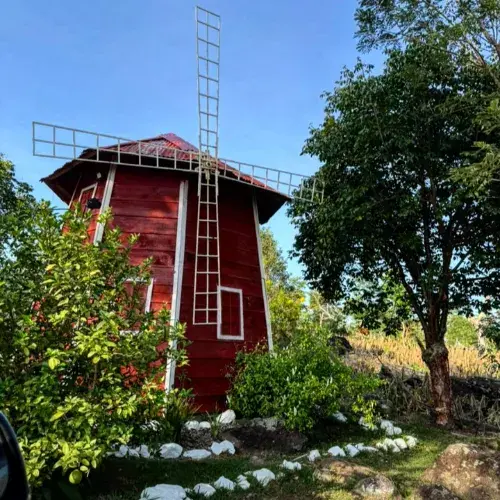 Molino de madera entre vegetación en Finca El Pedregal