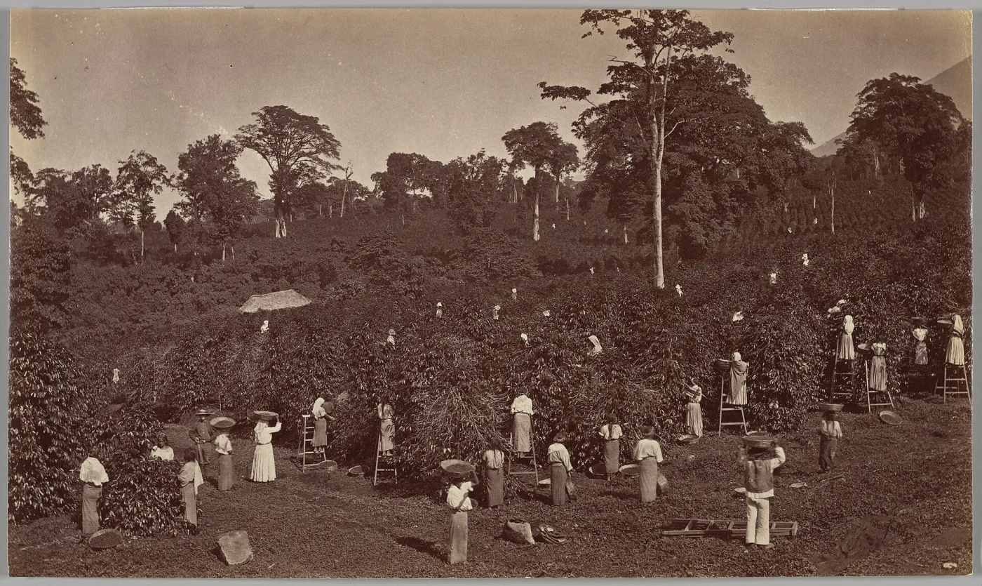 Finca El Pilar, Antigua Guatemala: guía para planificar la visita, imagen contextual