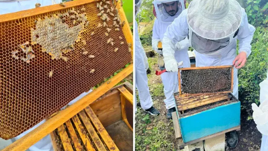 Finca Pangea en San José Pinula: tour de abejas y miel