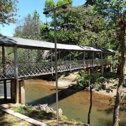 Puente de madera sobre un río entre árboles de la hacienda