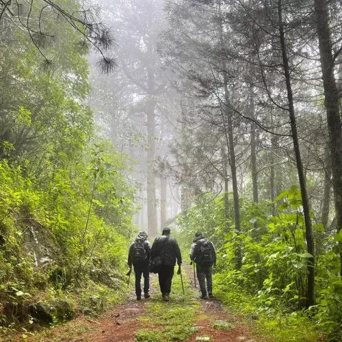 Personas caminan por un sendero natural del Parque Ecológico Kyaq K’ix