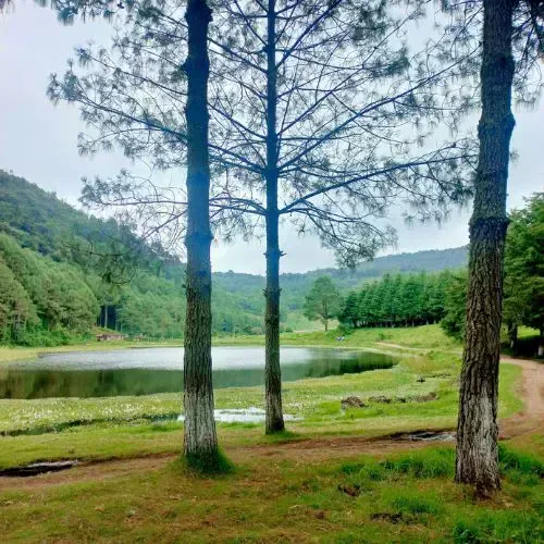 Laguna Chichoy entre pinos y montañas verdes