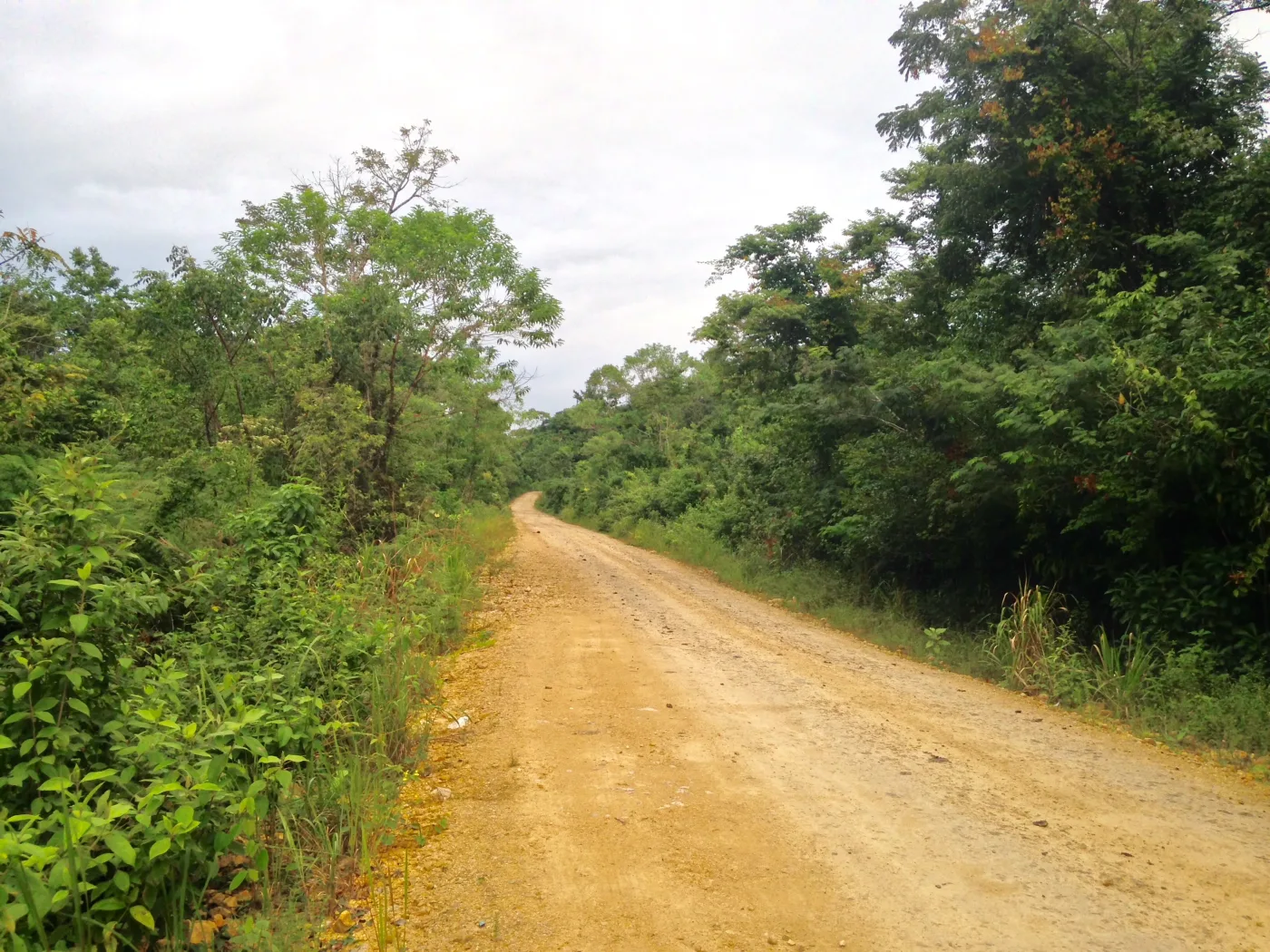 Laguna del Tigre y Las Guacamayas: guía para visitar