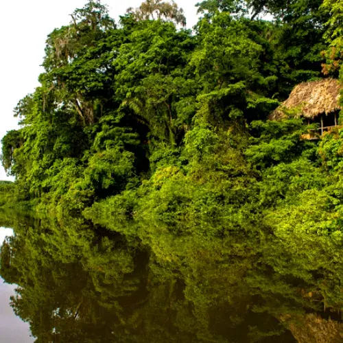 Hotel ecológico Chiminos Island Lodge a orillas de la Laguna Petexbatún