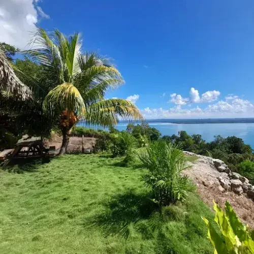 Área verde con palmera, mesa y vista al Lago Petén Itzá en el Mirador San Román Jobompiche