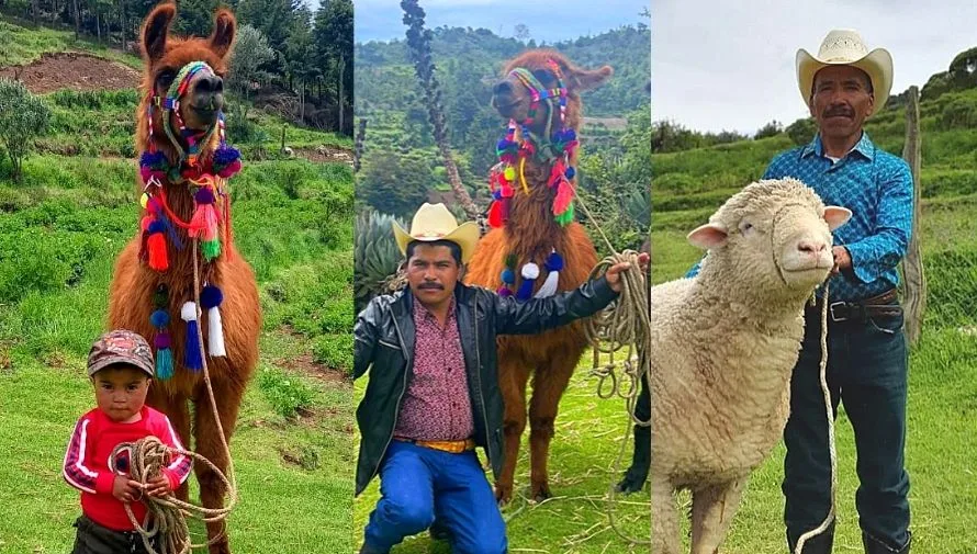 Llama junto a integrantes de una familia dedicada al turismo rural en Huehuetenango