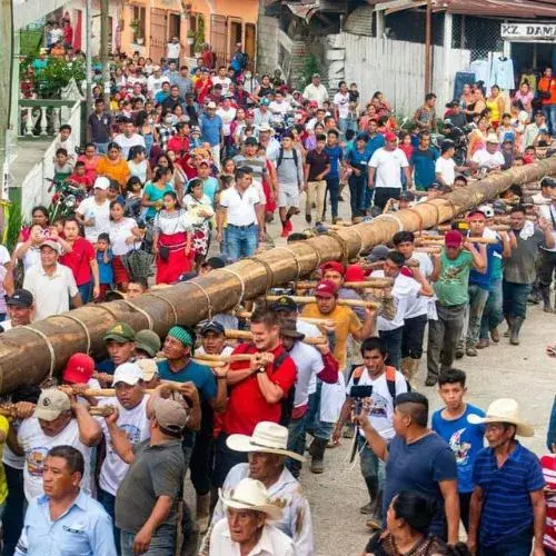 Traslado comunitario del Palo Ensebado en San Luis, Petén